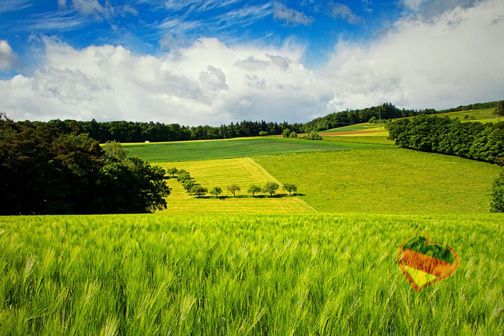 Saftig grüne Wiese mit Ähren, Bäumen und Wald am Horizont – rechts unten ein Deutschland-Herz als Symbol für die Herstellung aller VitaPart® Produkte in Deutschland nach höchsten Qualitätsstandards wie GMP, HACCP und ISO-Normen“